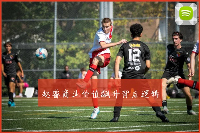 赵睿商业价值飙升背后逻辑