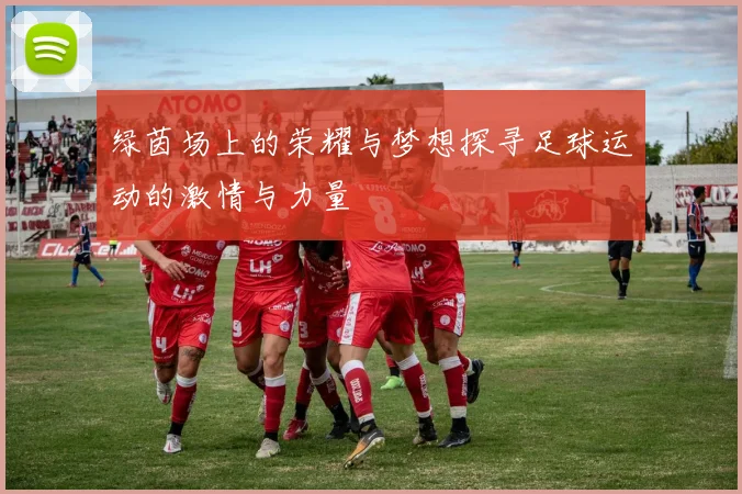 绿茵场上的荣耀与梦想探寻足球运动的激情与力量