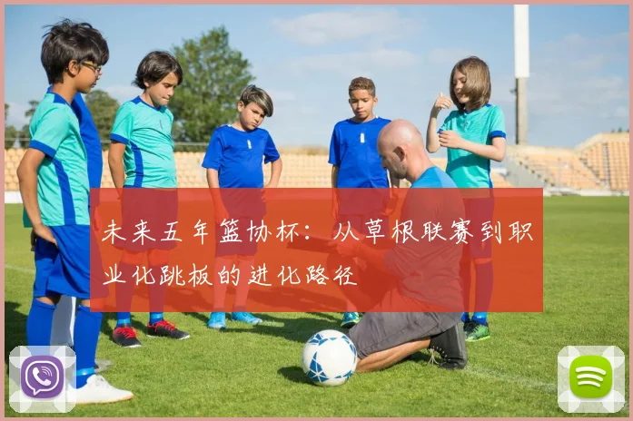 未来五年篮协杯：从草根联赛到职业化跳板的进化路径