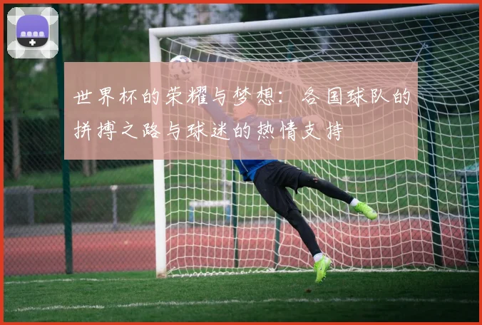 世界杯的荣耀与梦想：各国球队的拼搏之路与球迷的热情支持