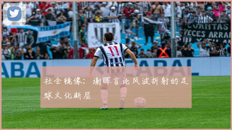 社会镜像：谢晖言论风波折射的足球文化断层