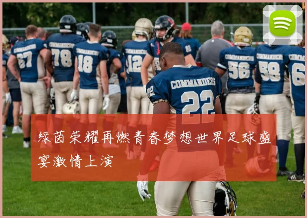 绿茵荣耀再燃青春梦想世界足球盛宴激情上演