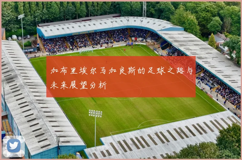 加布里埃尔马加良斯的足球之路与未来展望分析