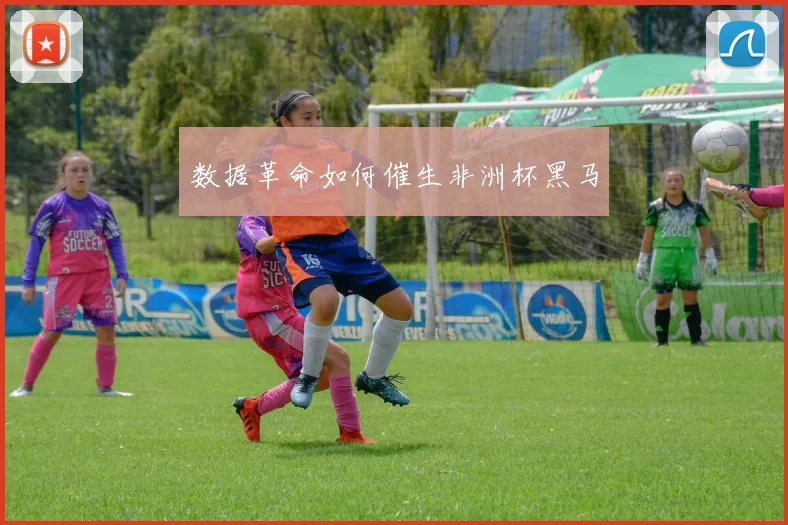 数据革命如何催生非洲杯黑马