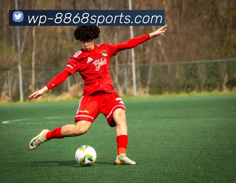 App Interface Preview